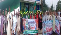 জুলাই গণঅভ্যুত্থান দিবস উপলক্ষ্যে দোহারে আনন্দ ও বিজয় উল্লাস
